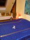 Tagesdecke 'Cottondream' blau