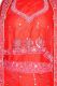Lengha Choli 'Zeenat' Stoffset - rot