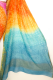 Georgetteseidensari 'Rainbow' mit Goldbrokat